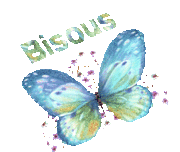bisous papillon